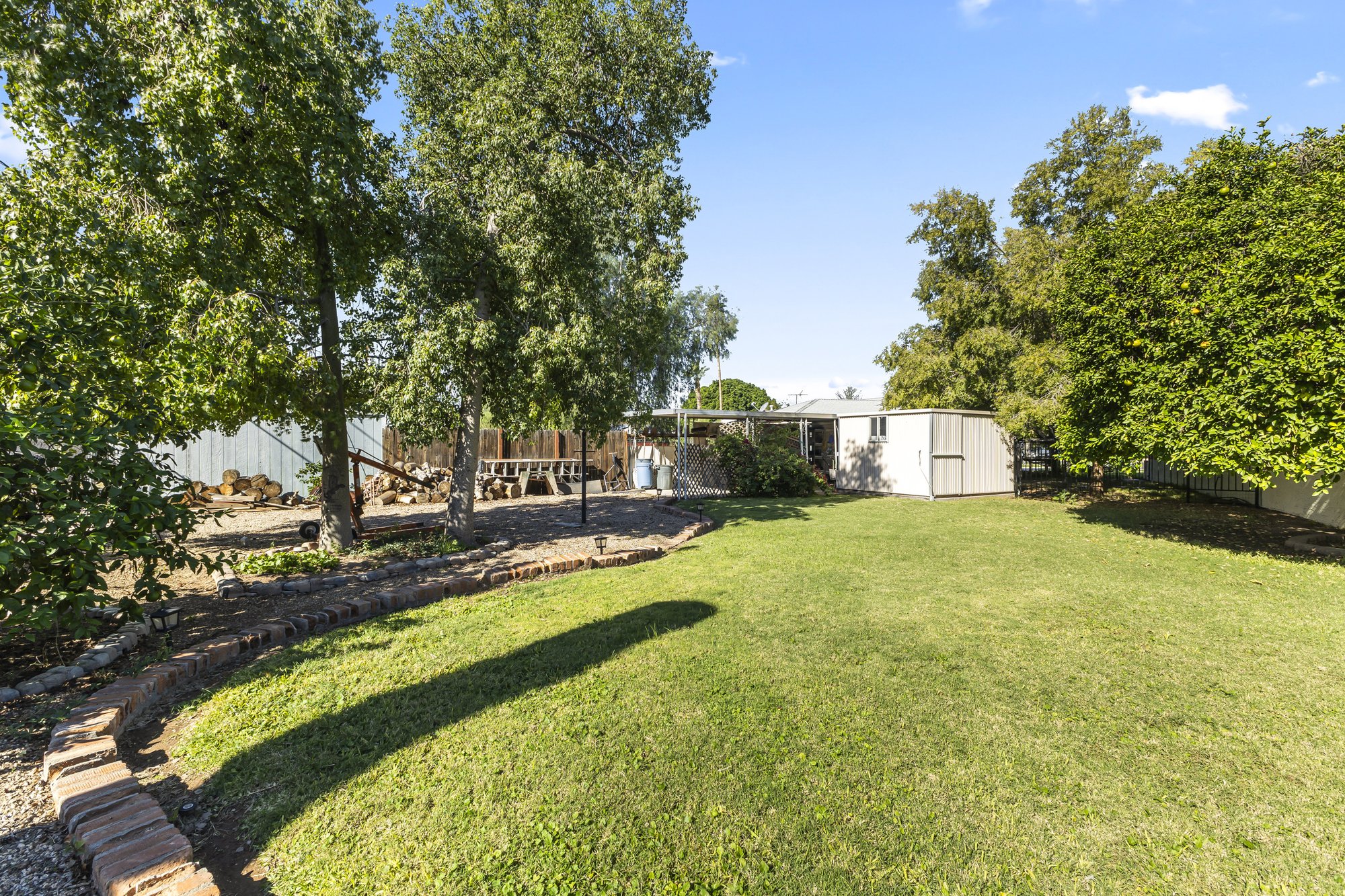 Large grassy backyard