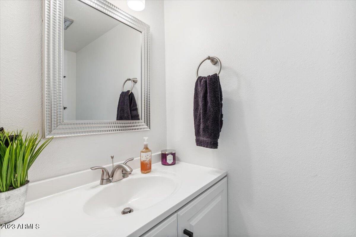 Hall bathroom with an updated vanity